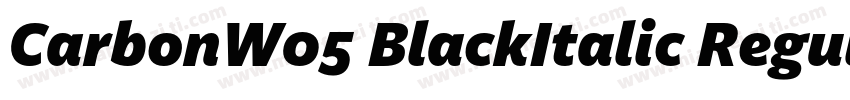 CarbonW05 BlackItalic Regular字体转换
